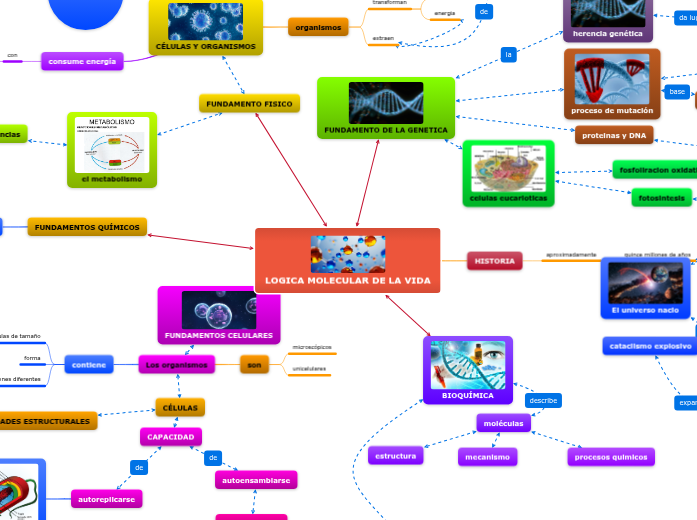 LOGICA MOLECULAR DE LA VIDA - Mind Map